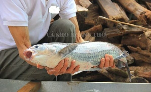 Cá kho làng Vũ Đại tại TP Hồ Chí Minh hình ảnh 23